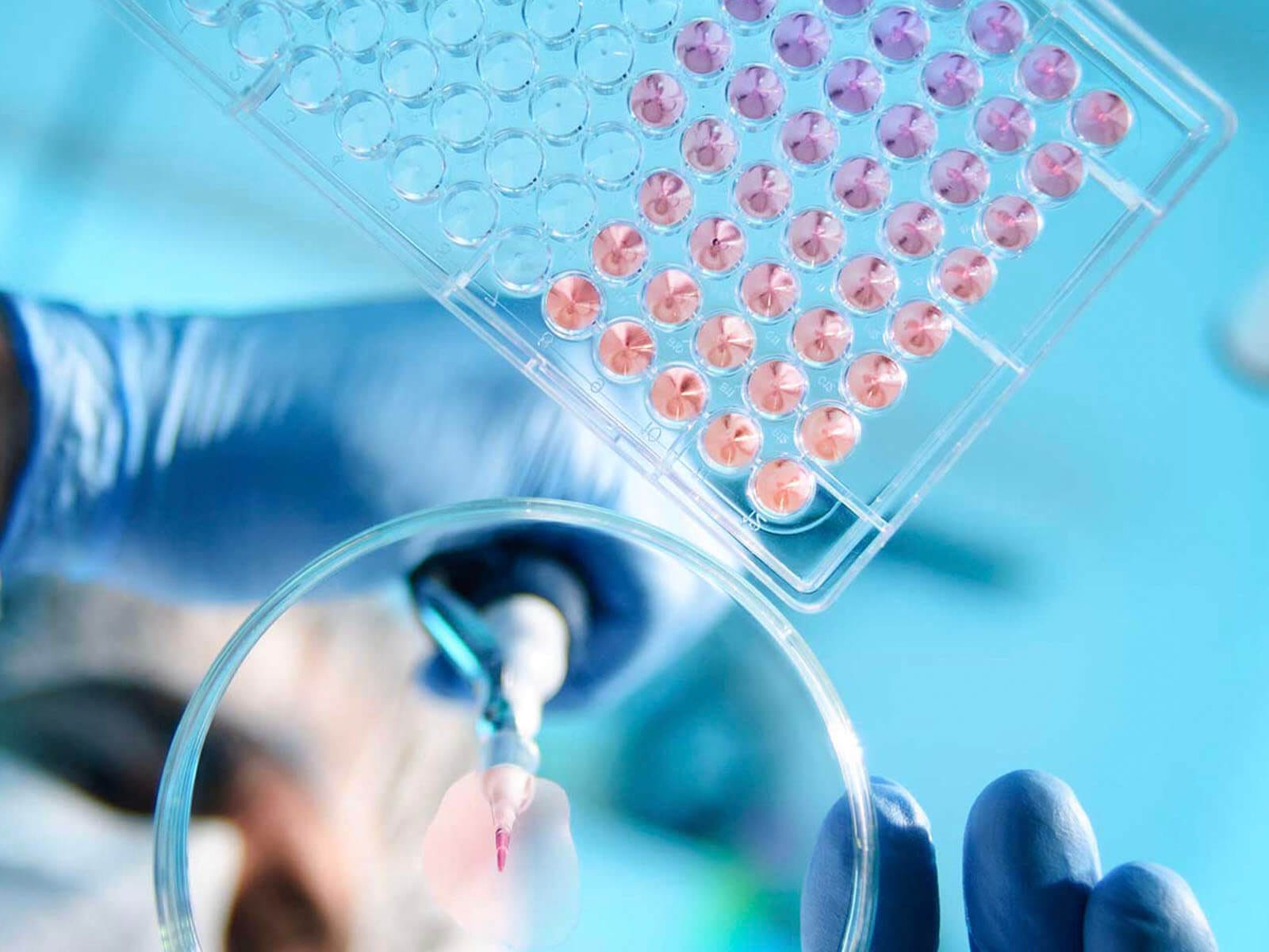 bowe-move-industries-healthcare-laboratory-specimen-transport bowe-move-industries-healthcare-laboratory-specimen-transport